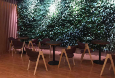 威格健身歲末感恩回饋 活力無限，健康同行