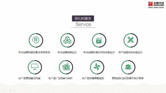 成都農(nóng)業(yè)品牌策劃營(yíng)銷(xiāo)與產(chǎn)品包裝設(shè)計(jì)服務(wù)